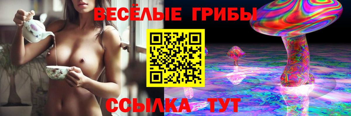 Первоуральск  Псилоцибиновые грибы GOLDEN TEACHER  Вход с VPN 